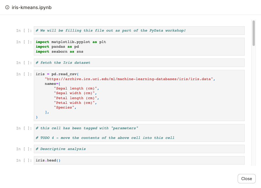 View Source Notebook display in the Dagster UI